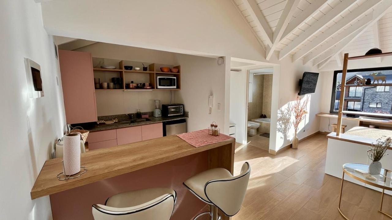 Monoambiente Moderno Y Amplio Centrico En San Martin De Andes Apartment *